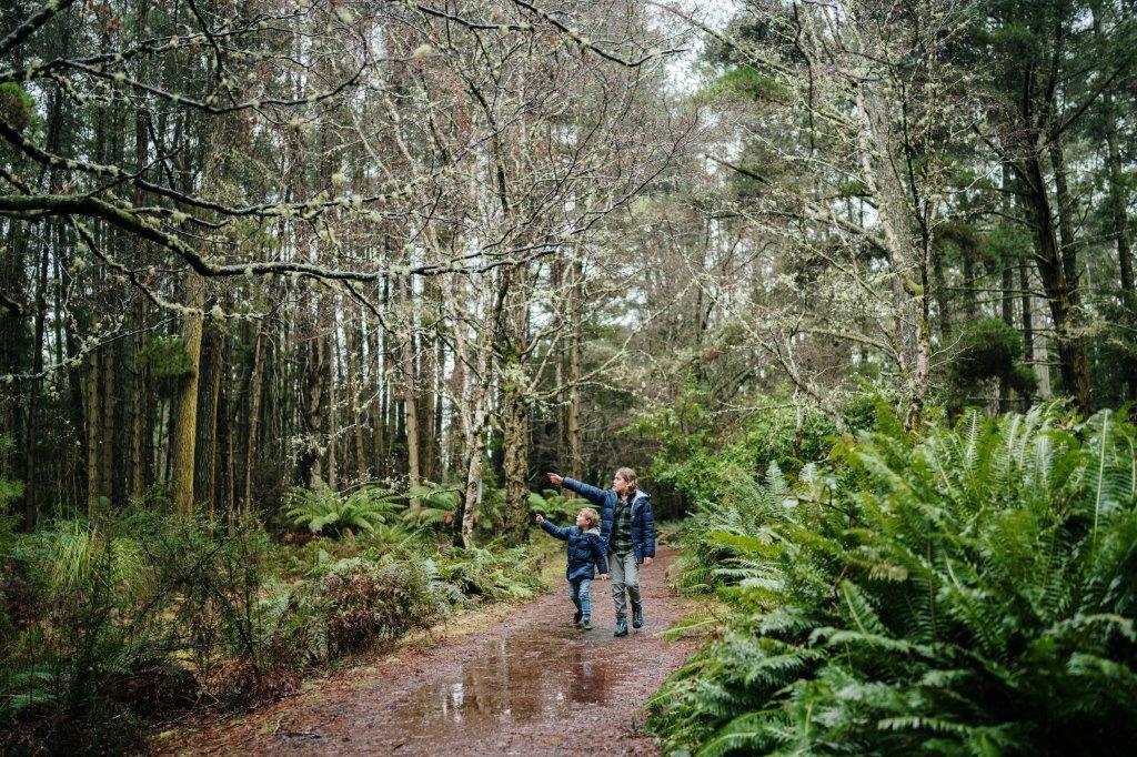 2 people walking through a forest.